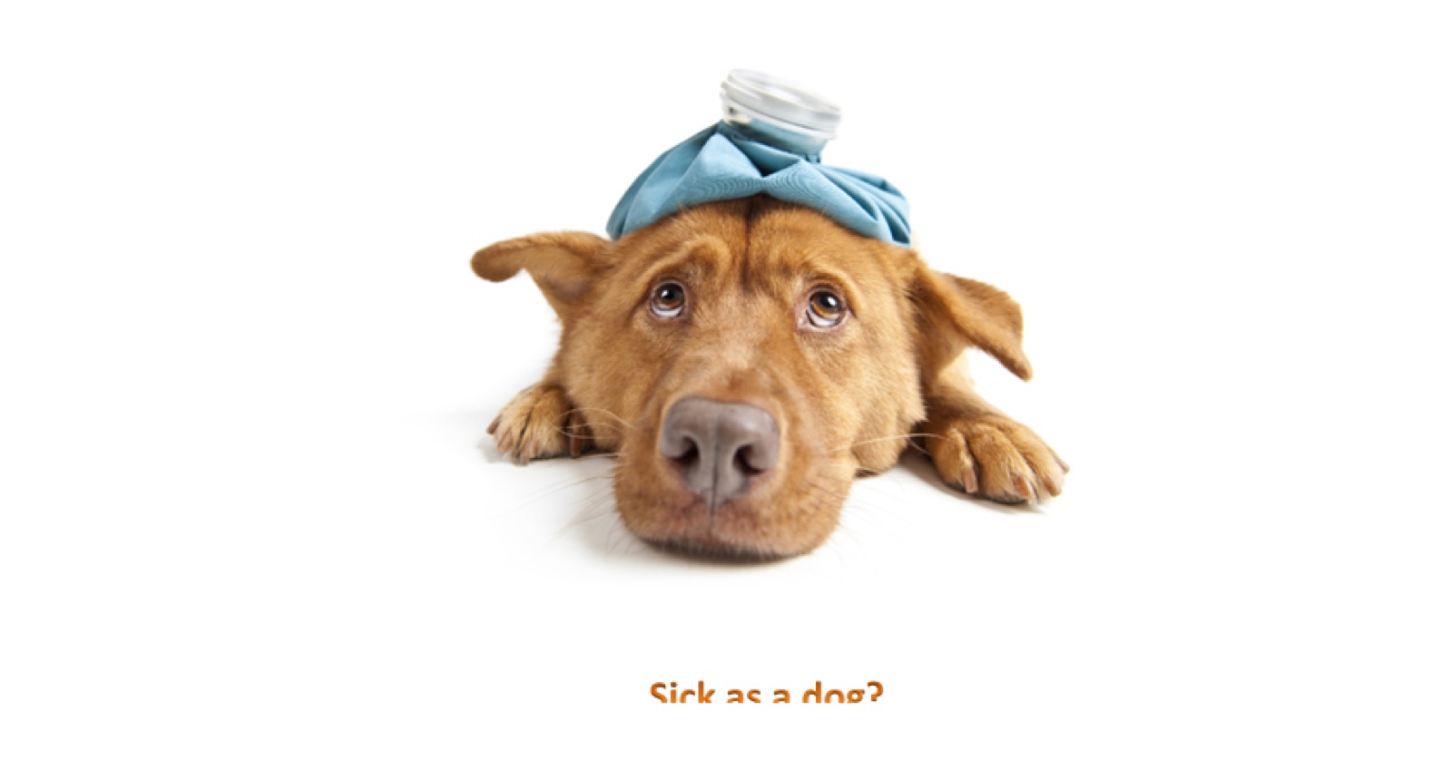 Do I Need Antiobiotics?